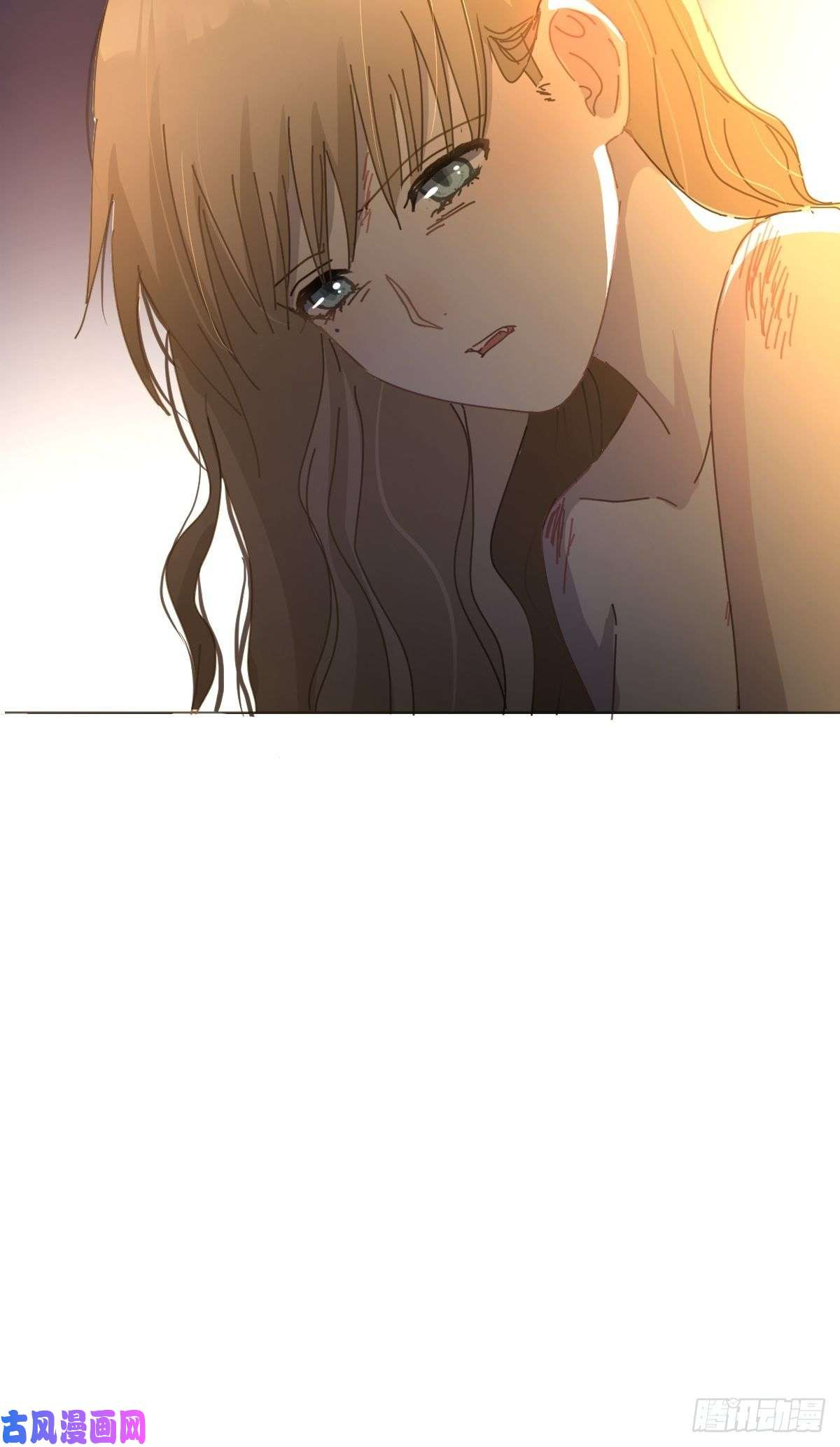 黑背信天翁她一定很痛吧