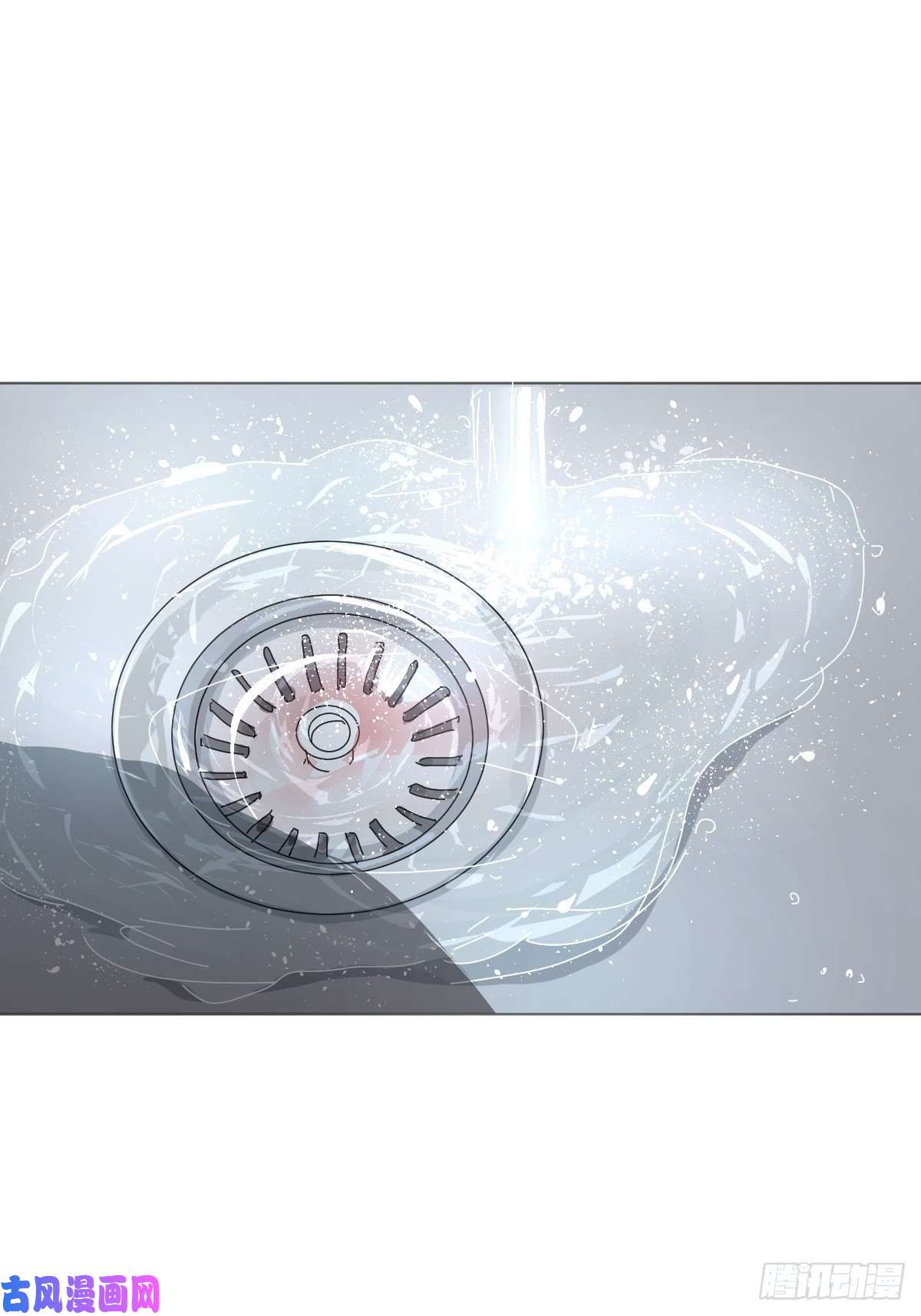 黑背信天翁她一定很痛吧