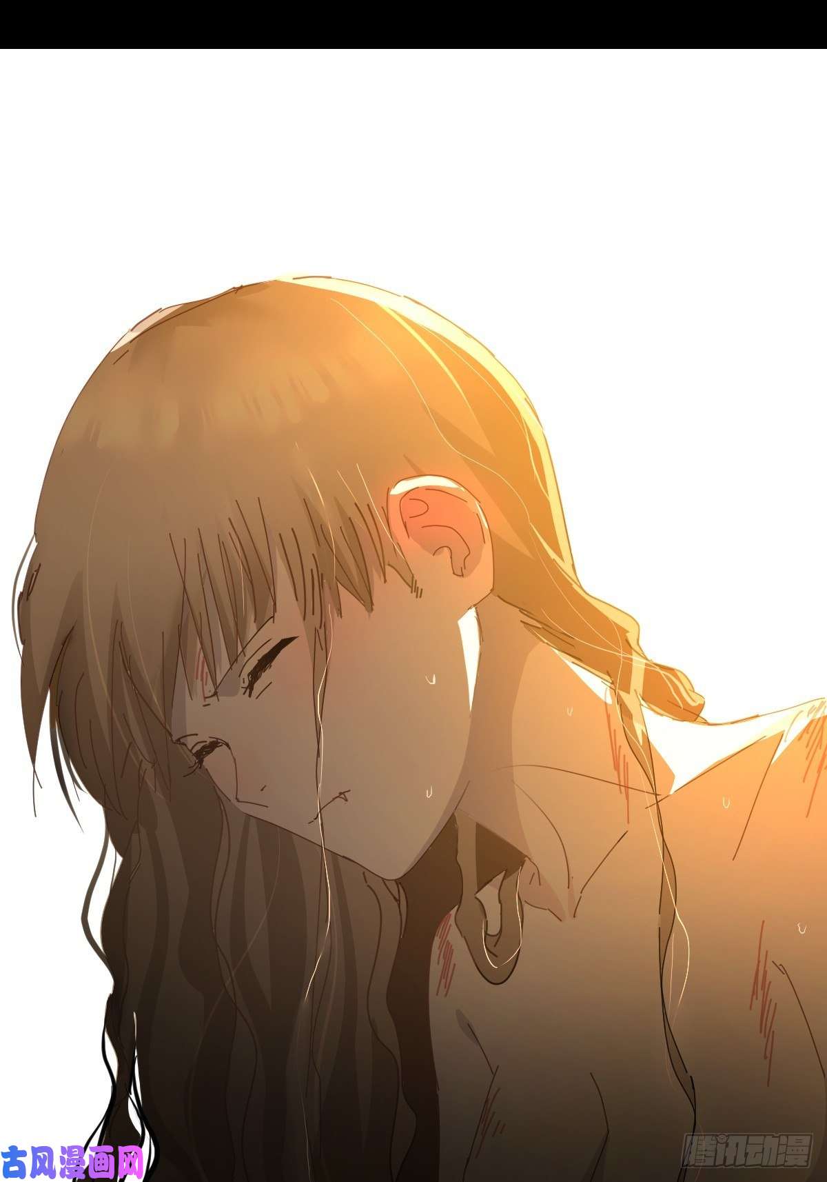 黑背信天翁她一定很痛吧