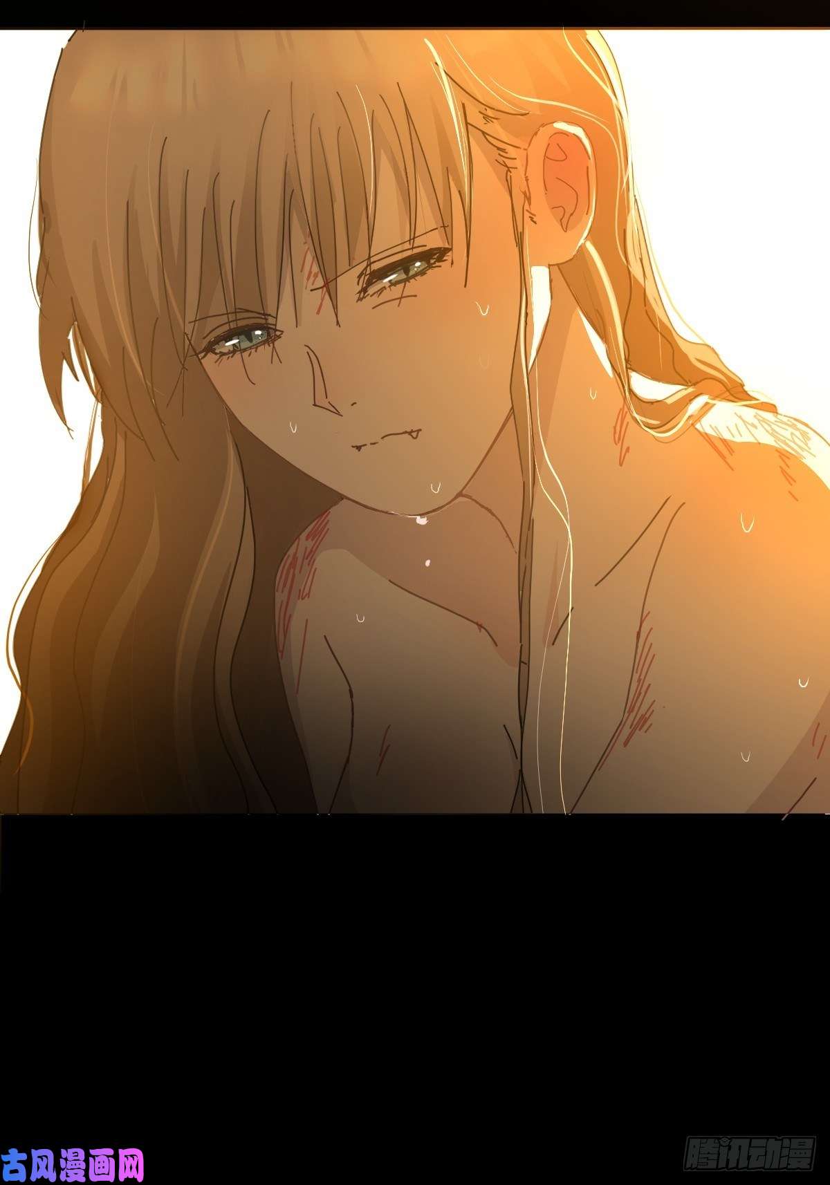 黑背信天翁她一定很痛吧