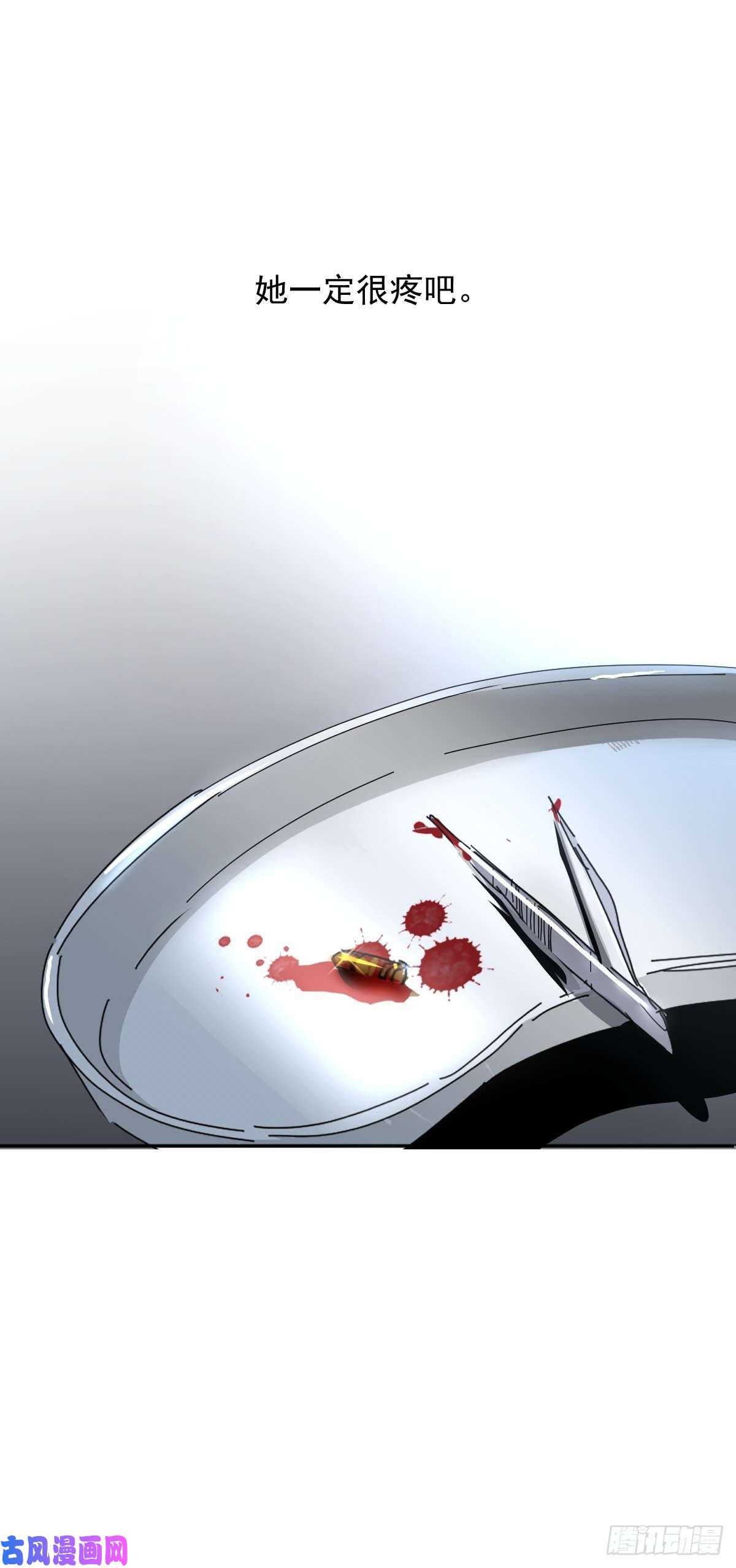 黑背信天翁她一定很痛吧