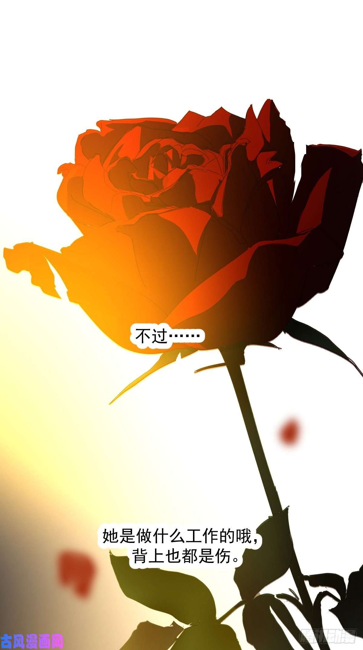 黑背信天翁她一定很痛吧