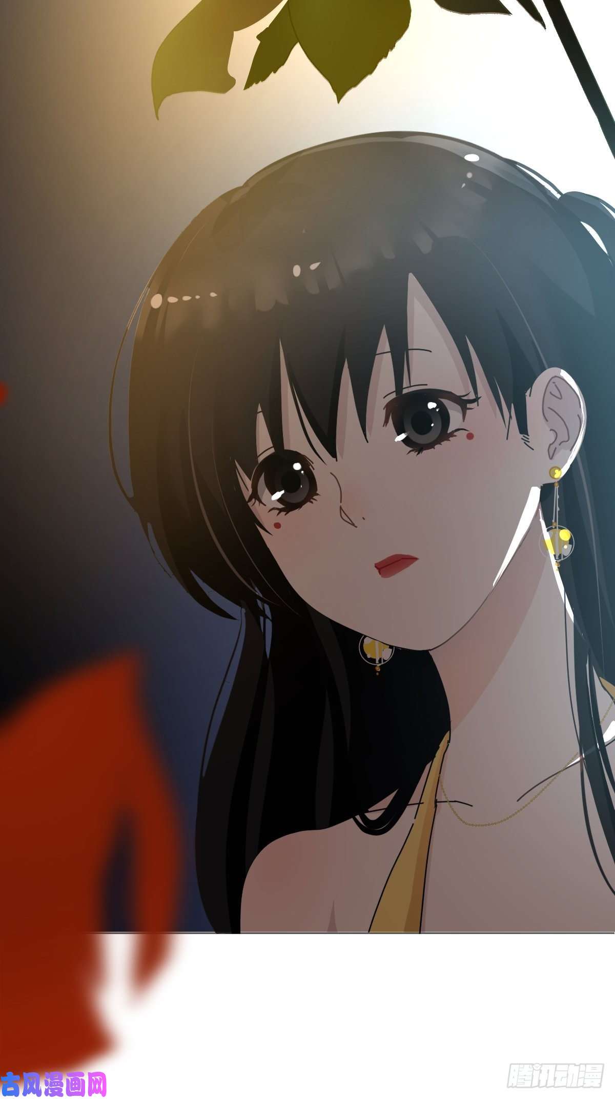 黑背信天翁她一定很痛吧