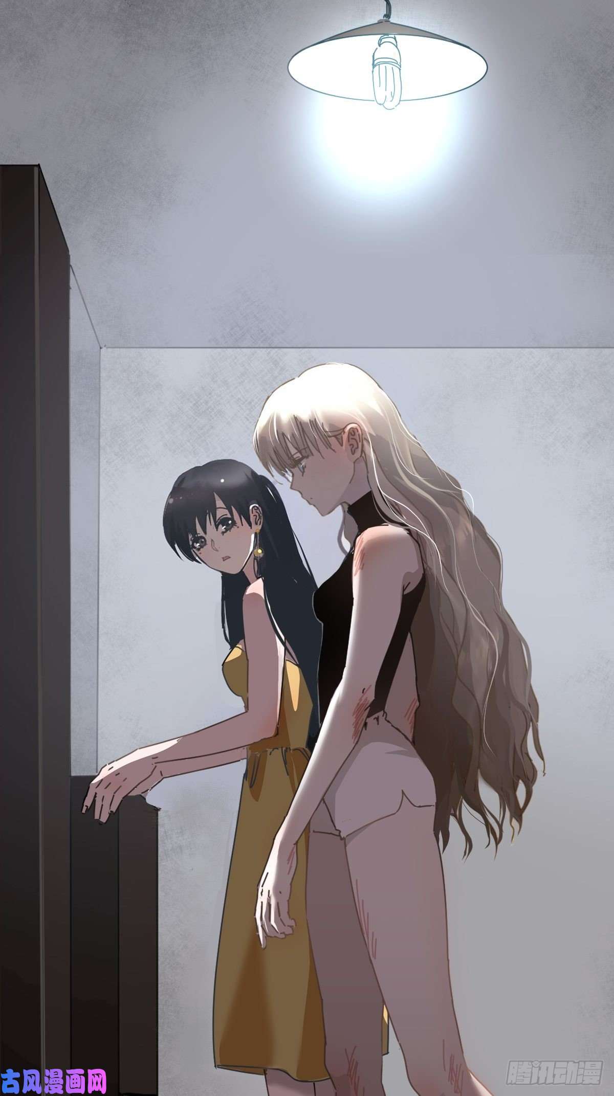 黑背信天翁她一定很痛吧