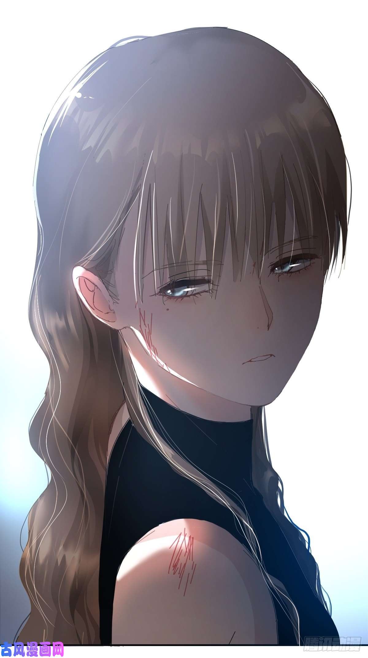 黑背信天翁她一定很痛吧