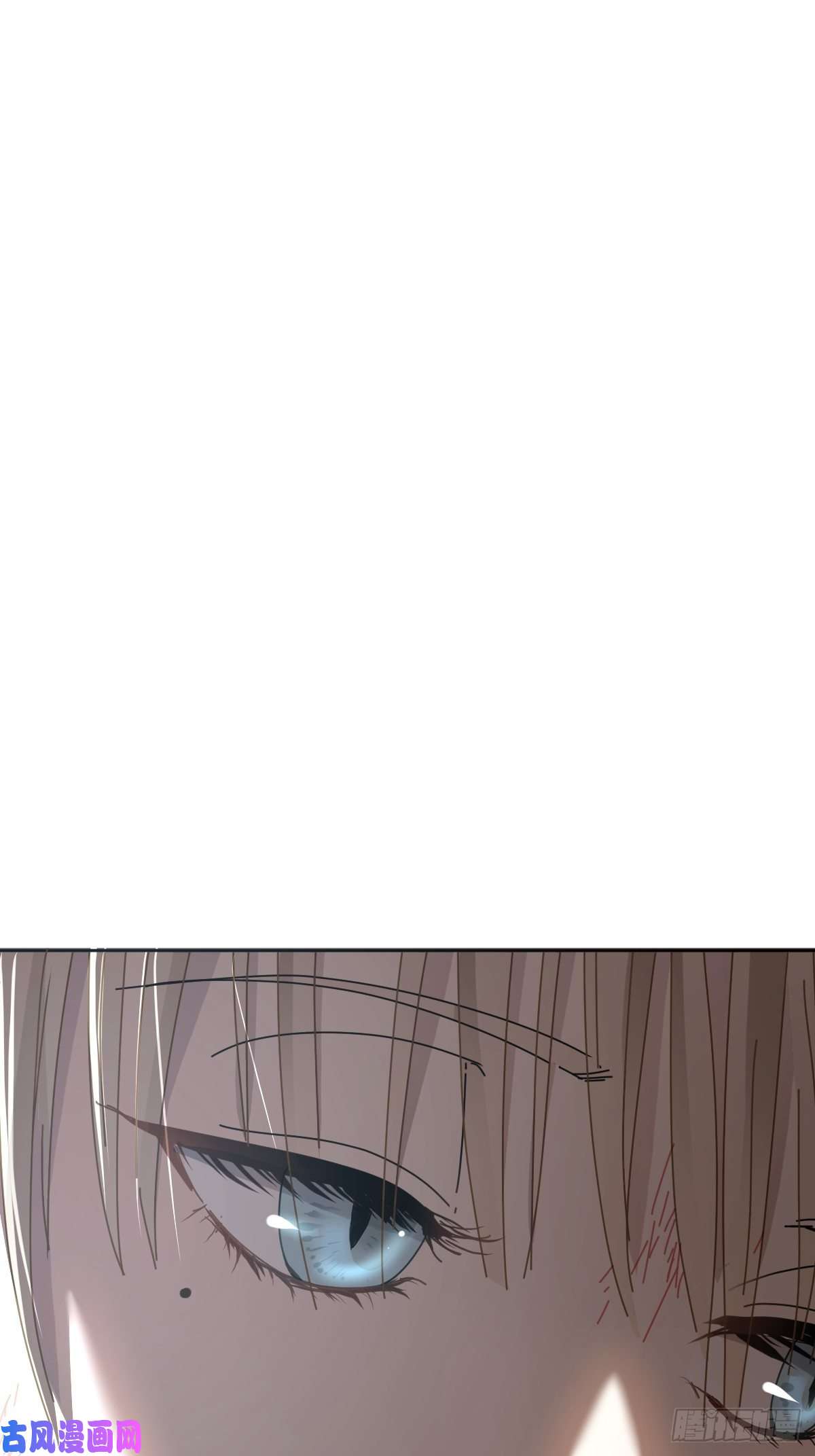 黑背信天翁她一定很痛吧