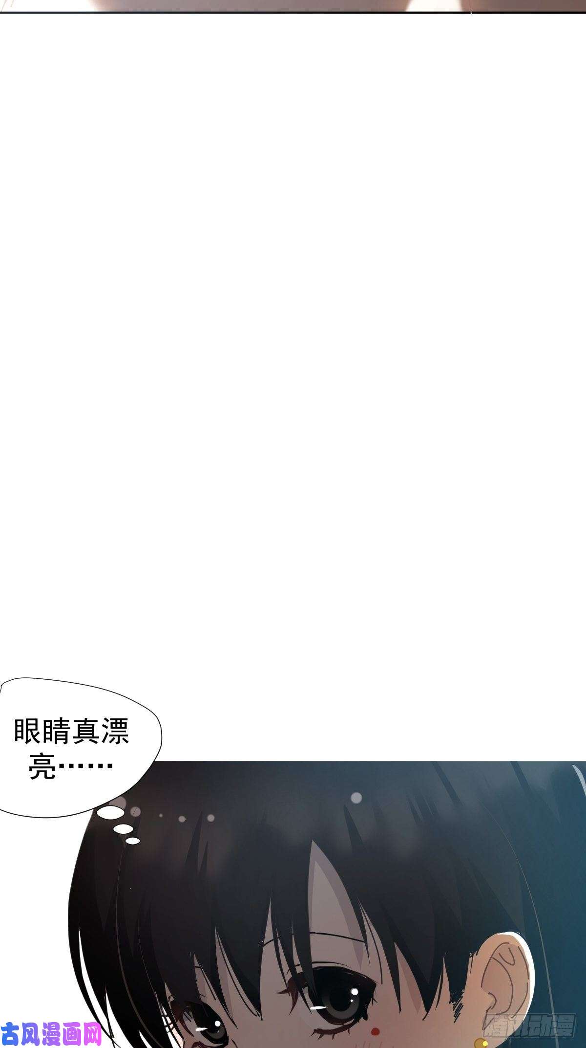 黑背信天翁她一定很痛吧