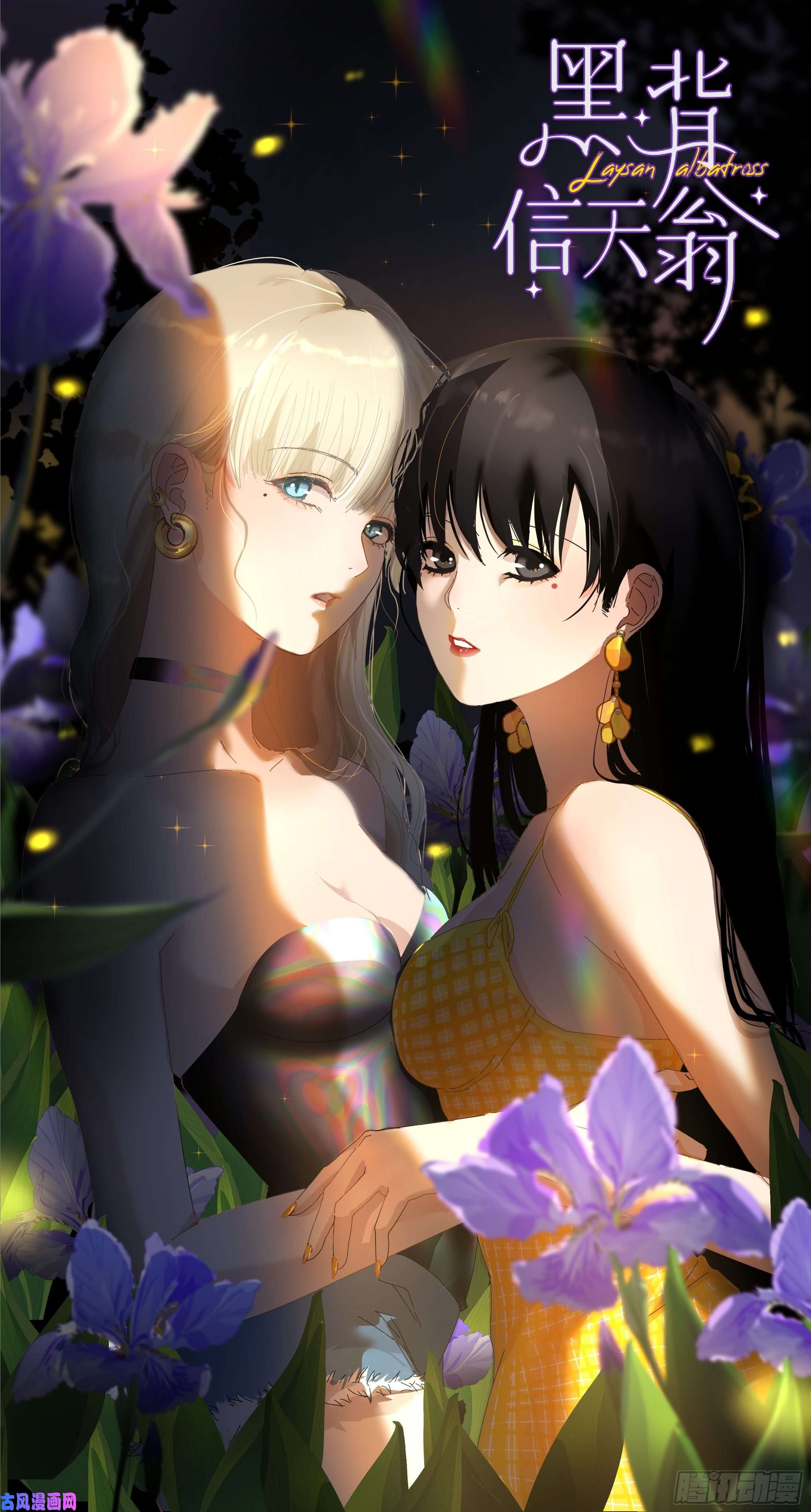 黑背信天翁这就是今晚的考核