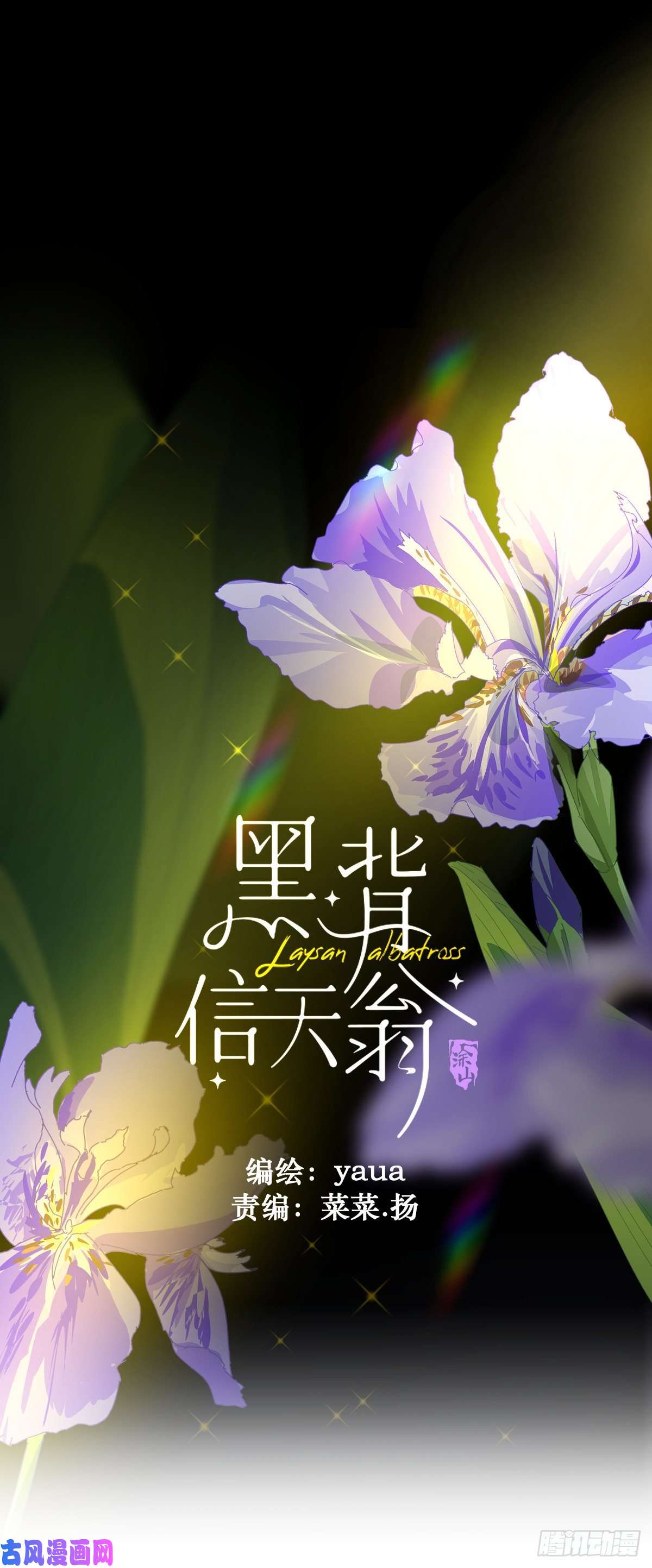 黑背信天翁这就是今晚的考核