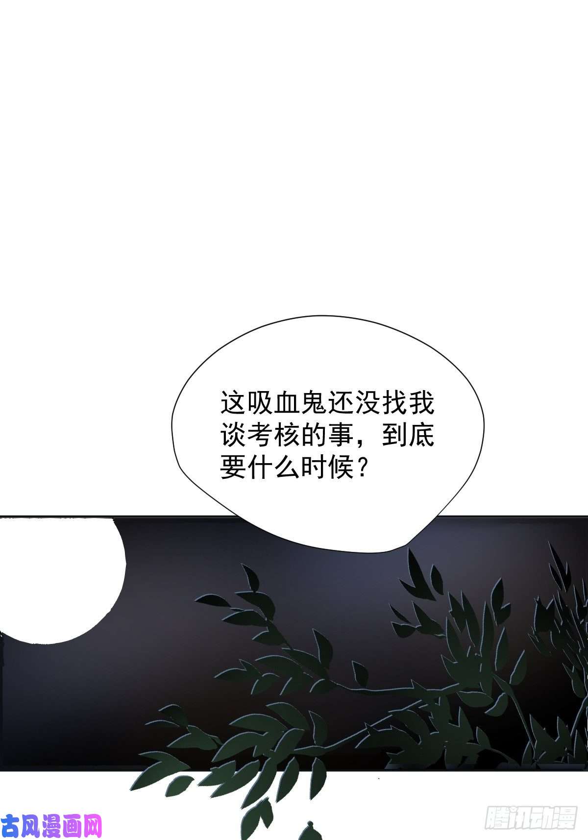 黑背信天翁这就是今晚的考核