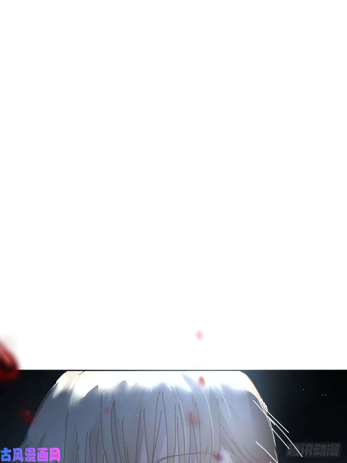 黑背信天翁这就是今晚的考核