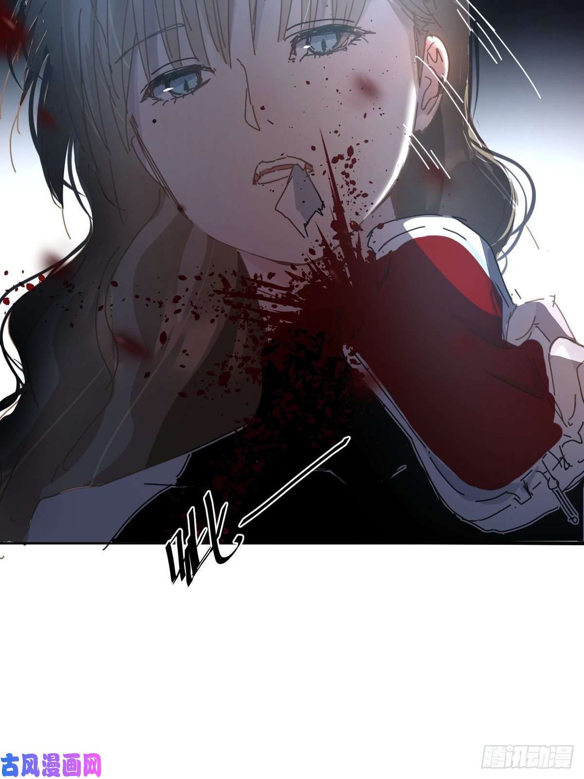 黑背信天翁这就是今晚的考核