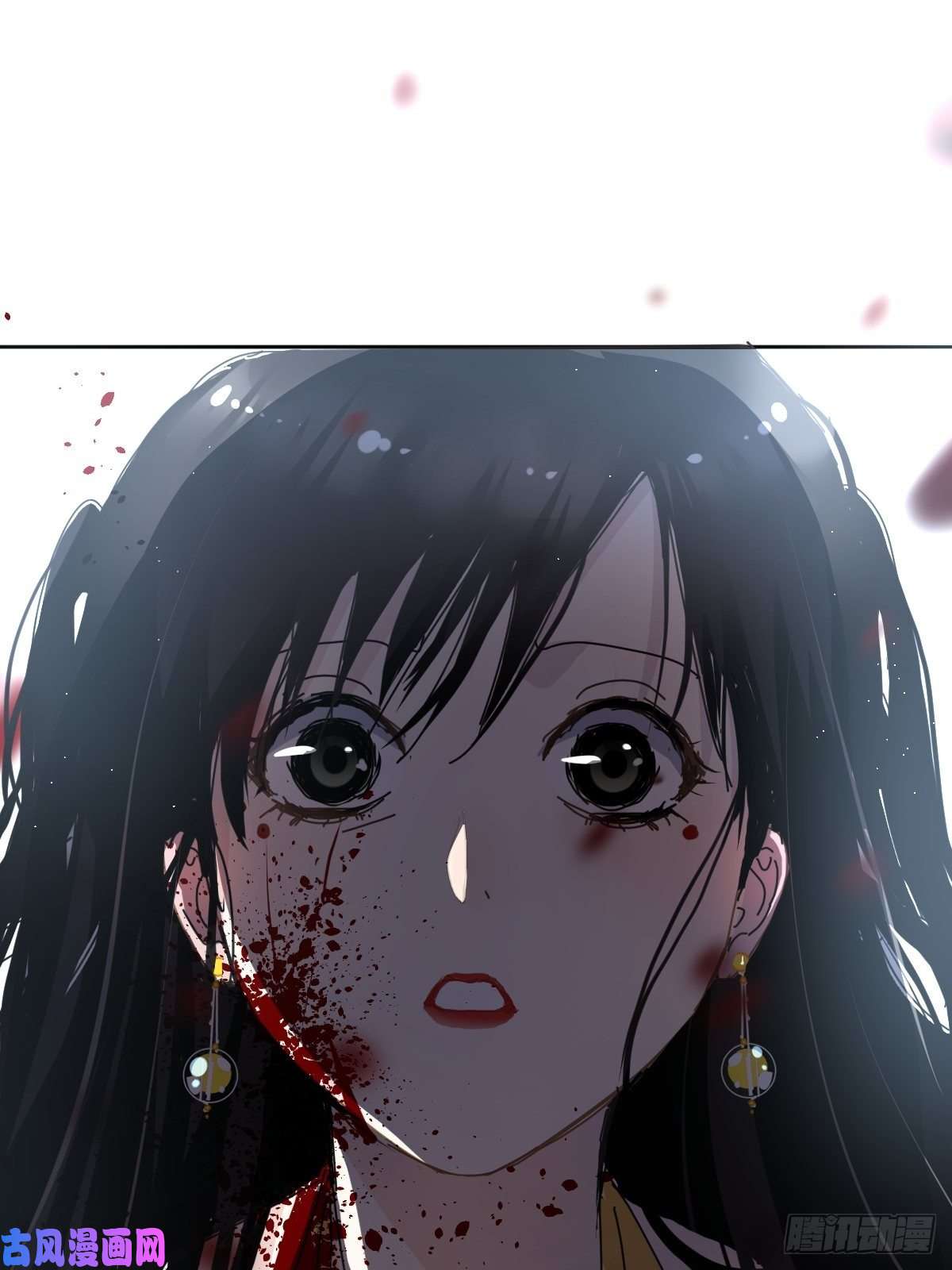 黑背信天翁这就是今晚的考核