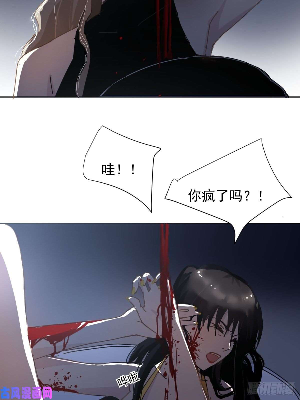 黑背信天翁这就是今晚的考核