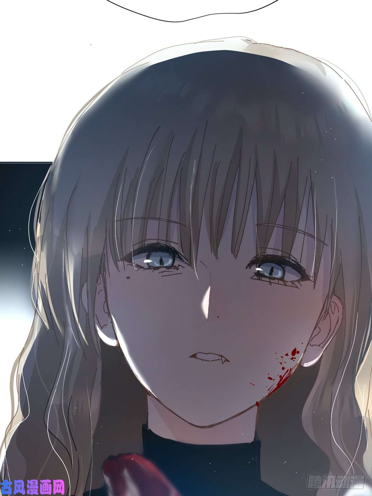 黑背信天翁这就是今晚的考核