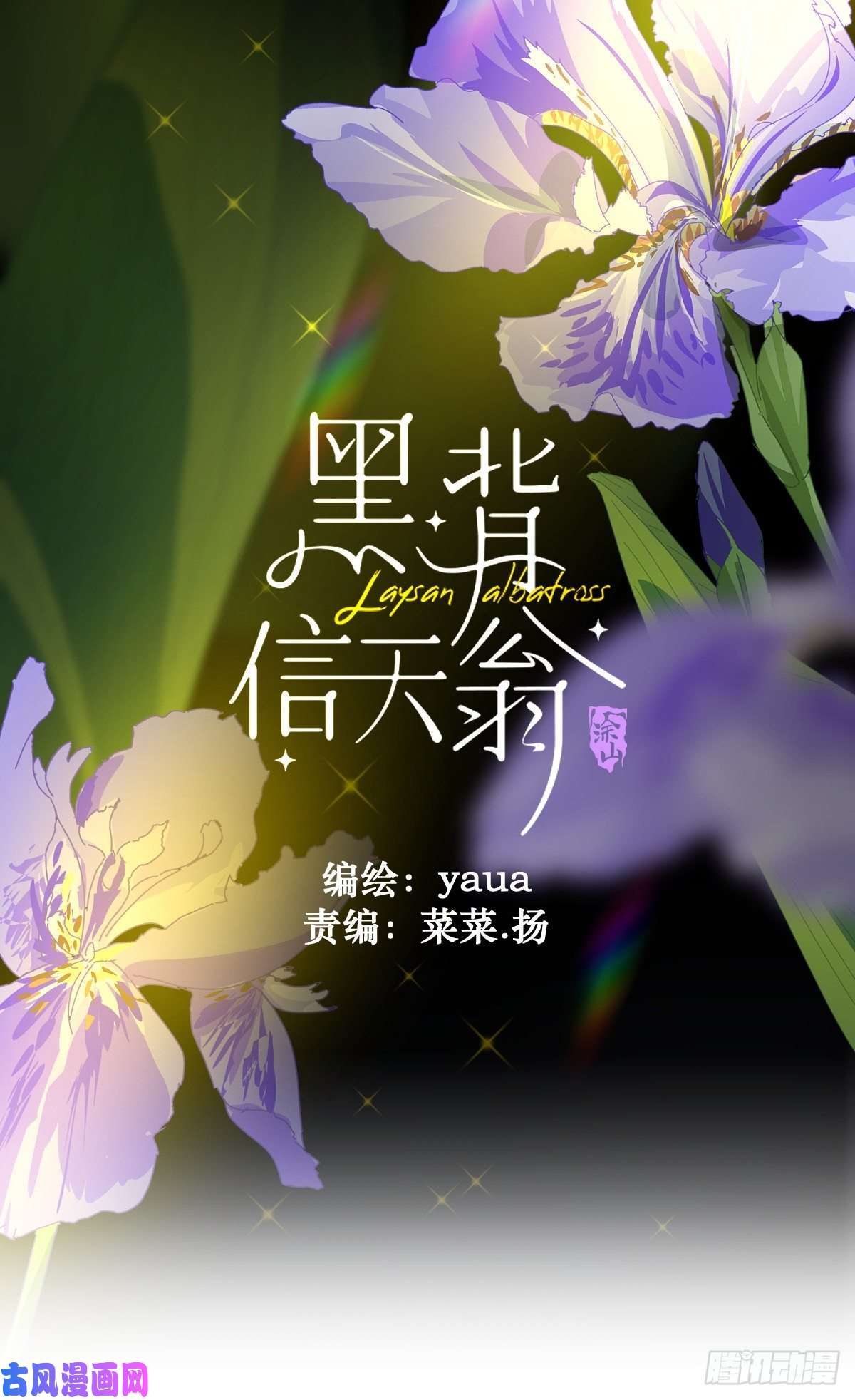 黑背信天翁不！！