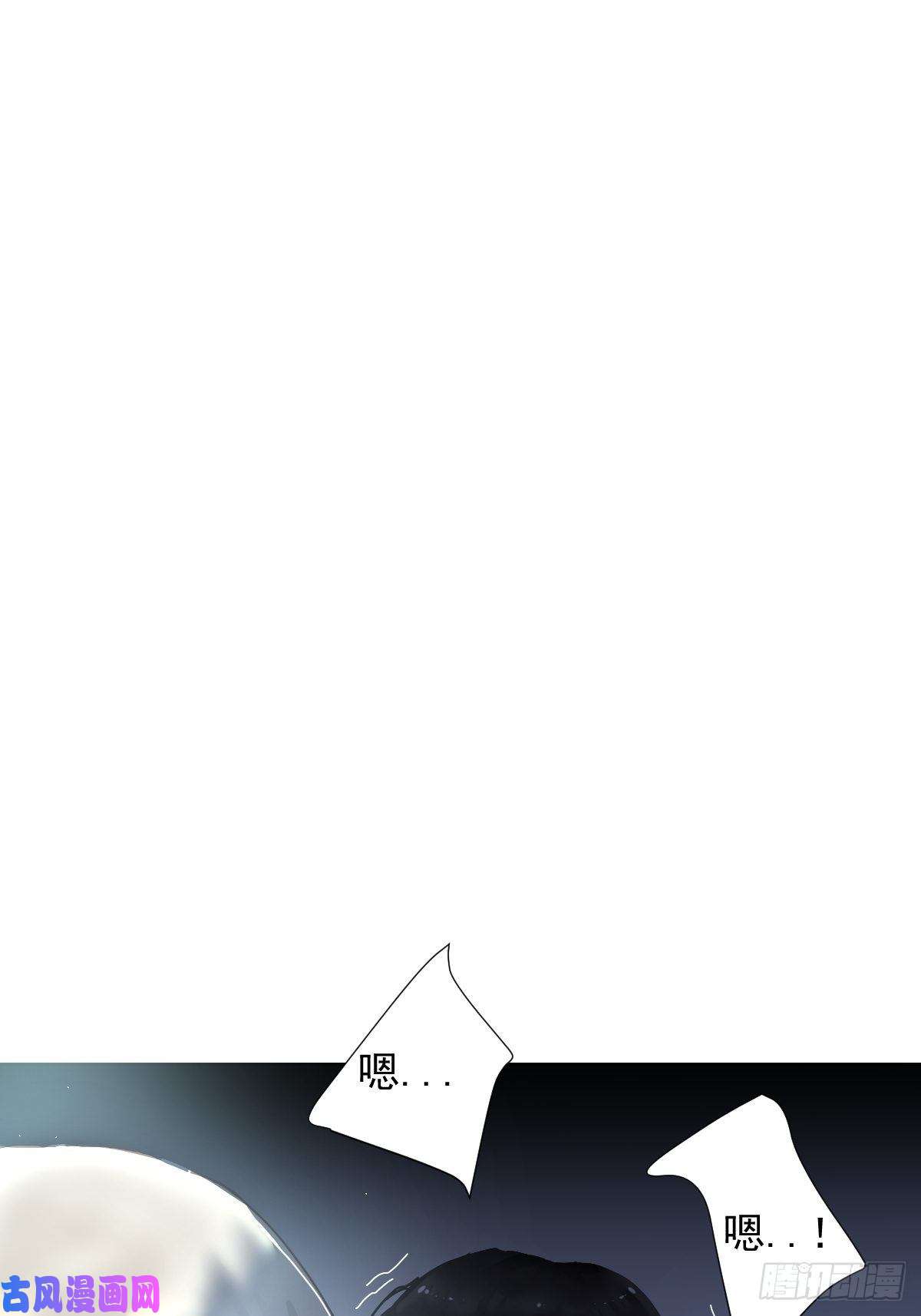 黑背信天翁不！！