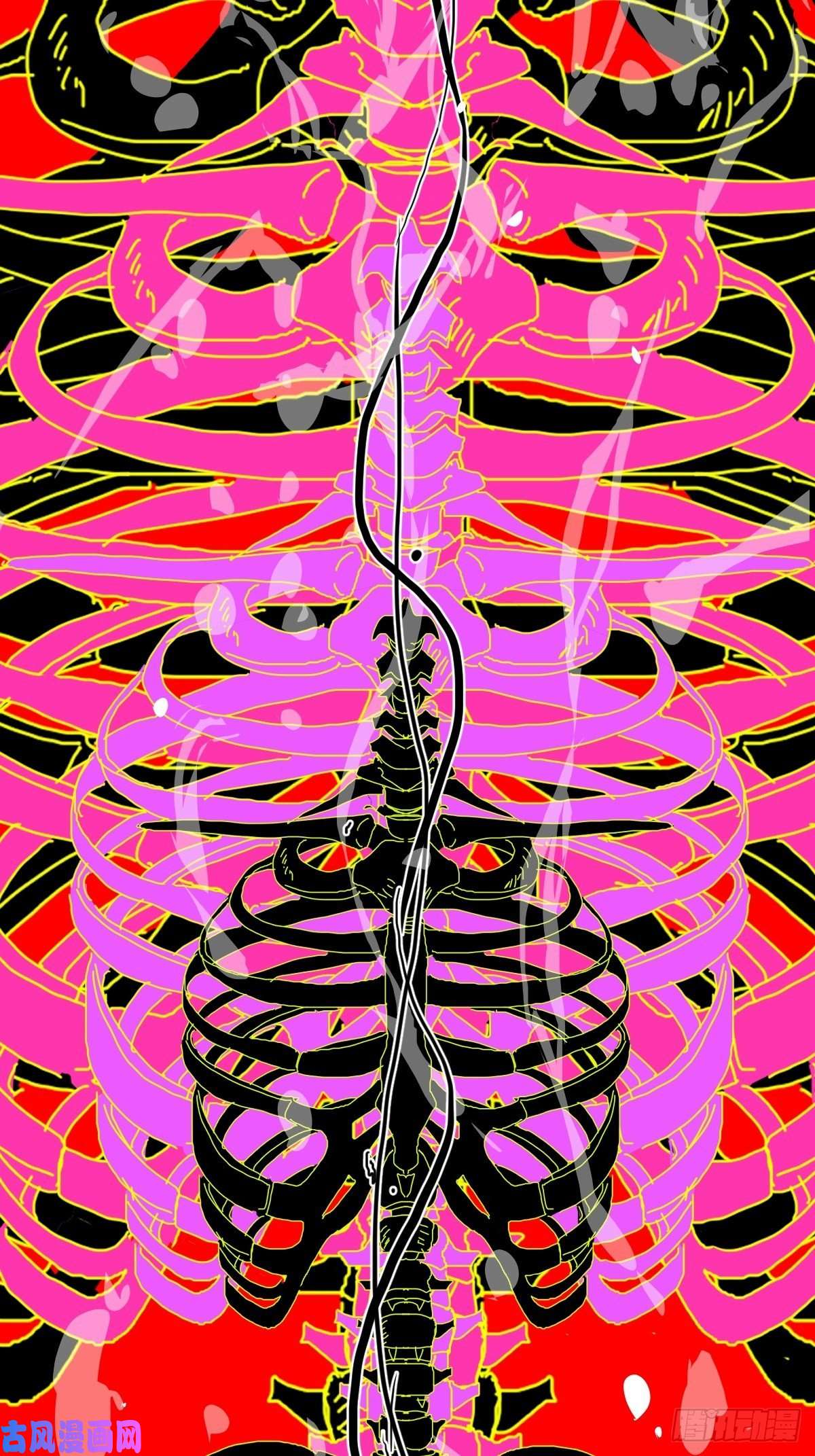 黑背信天翁不！！