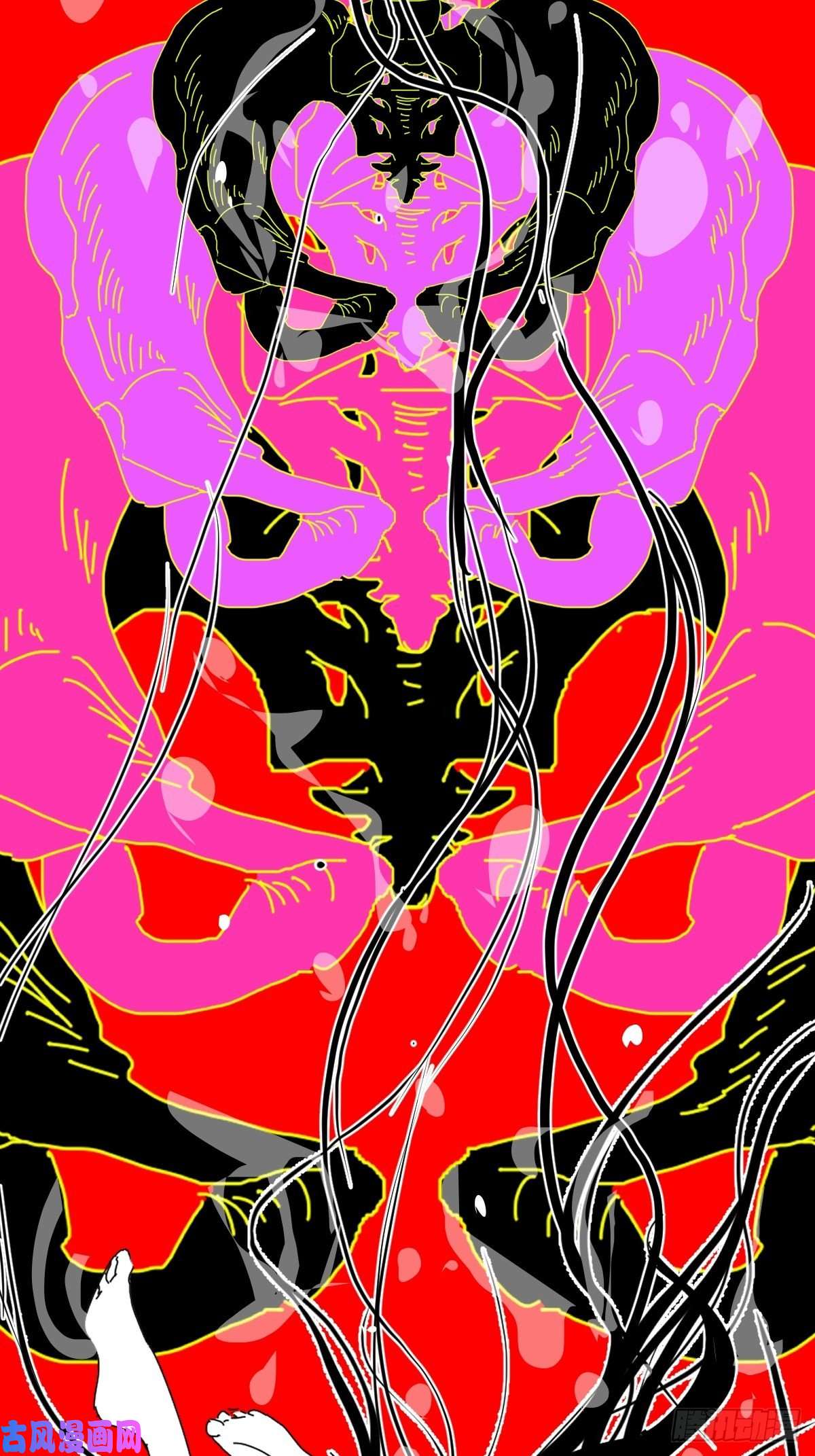 黑背信天翁不！！