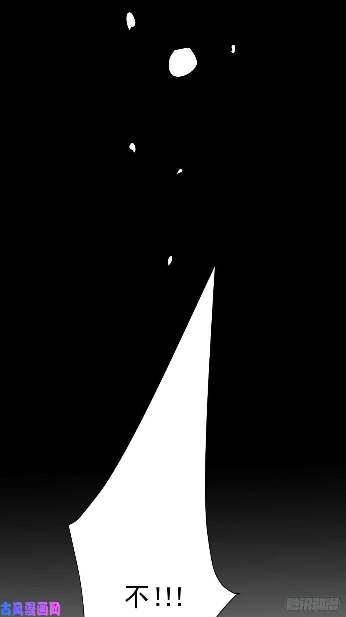 黑背信天翁不！！