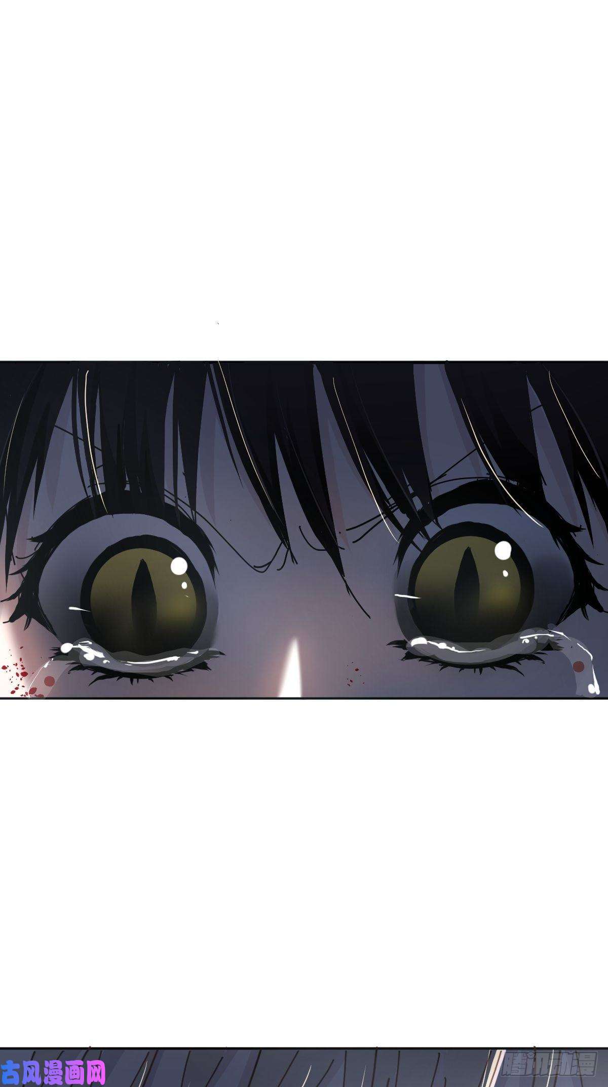 黑背信天翁不！！