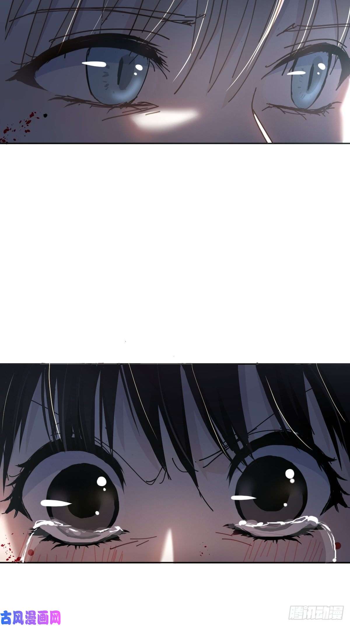 黑背信天翁不！！