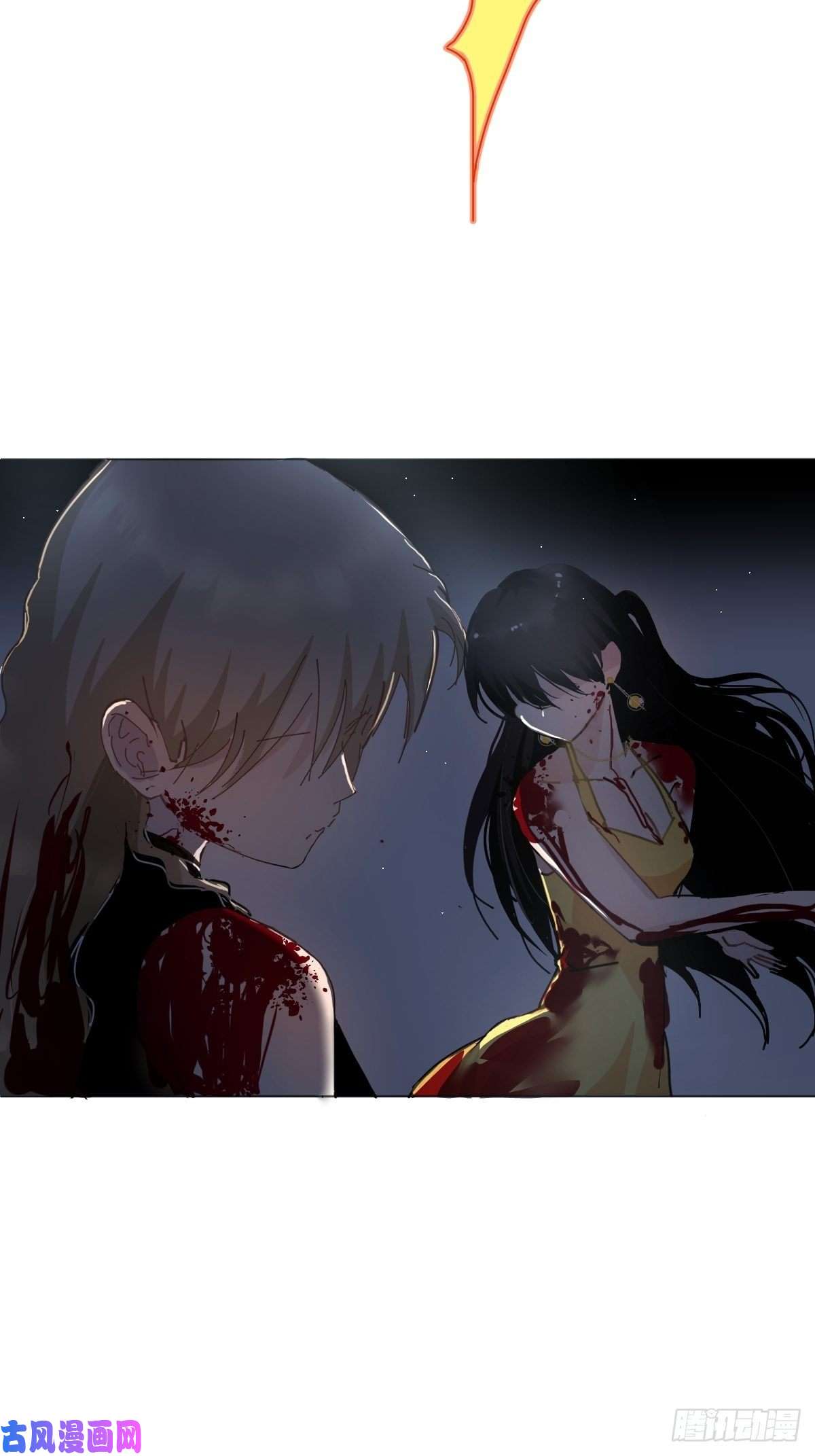 黑背信天翁不！！