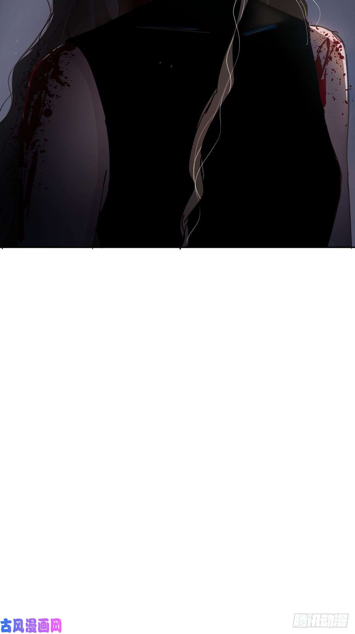 黑背信天翁不！！