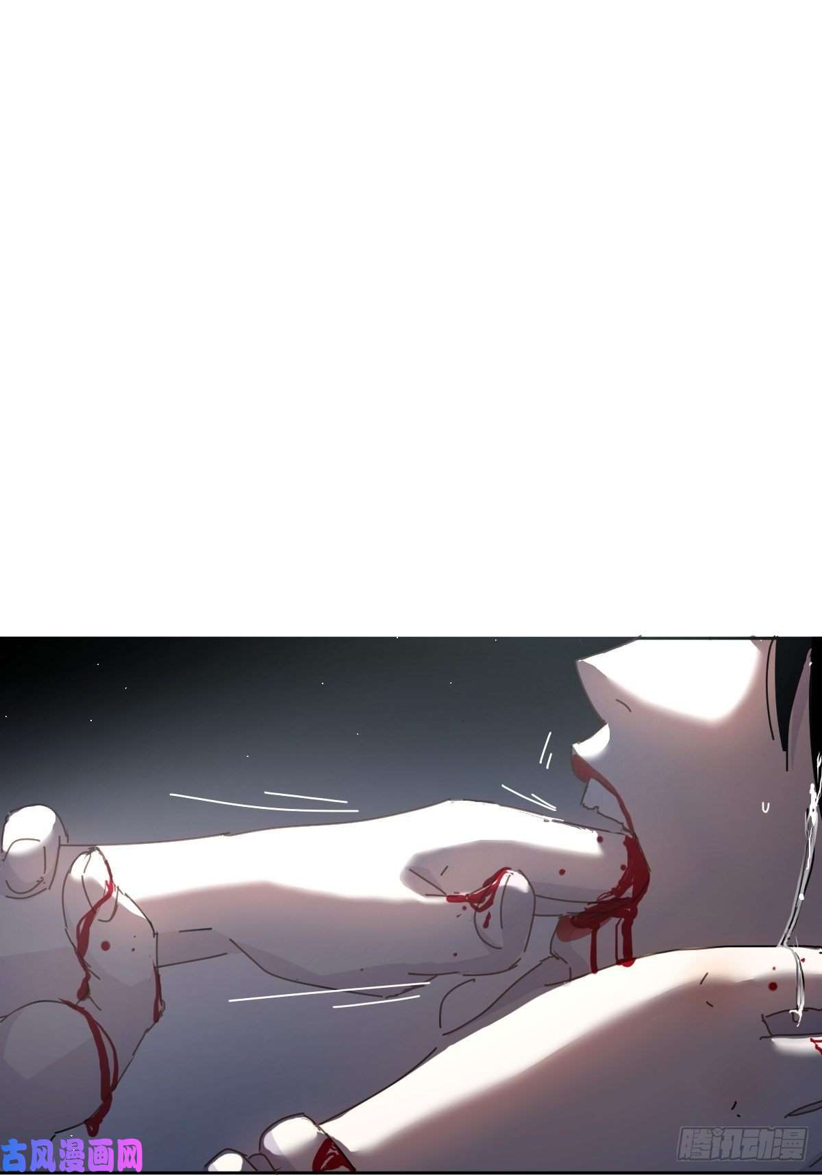 黑背信天翁不！！