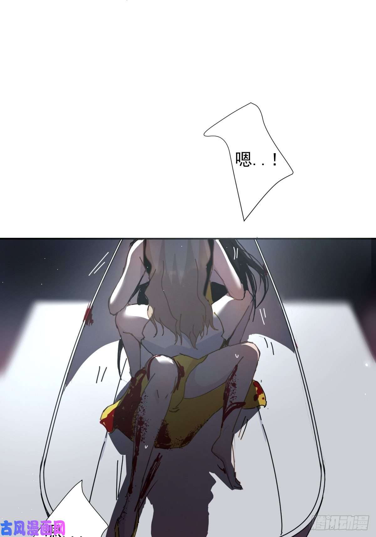 黑背信天翁不！！