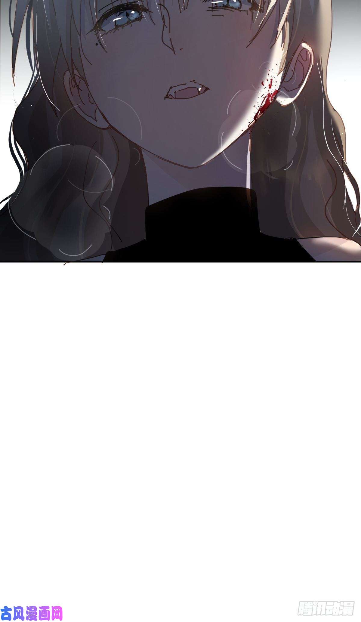 黑背信天翁不！！