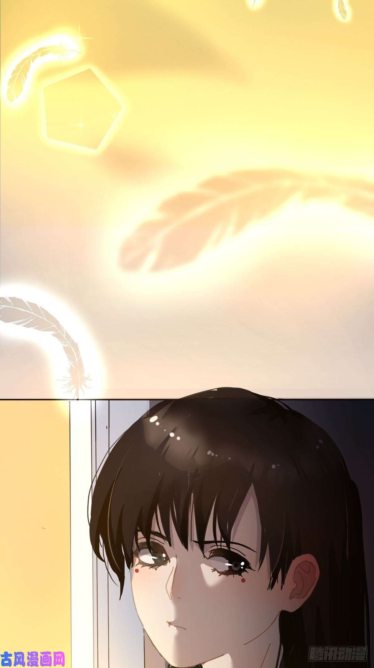 黑背信天翁见怪不怪，其怪自败