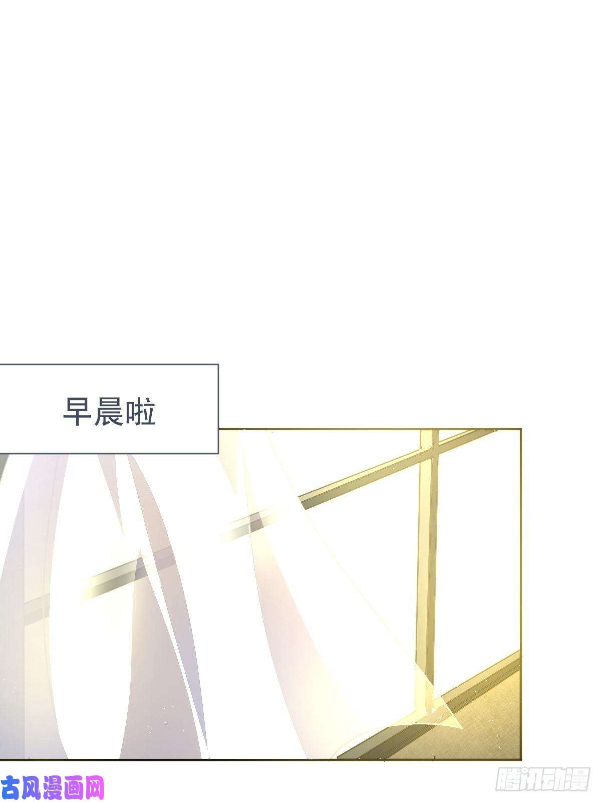 黑背信天翁见怪不怪，其怪自败