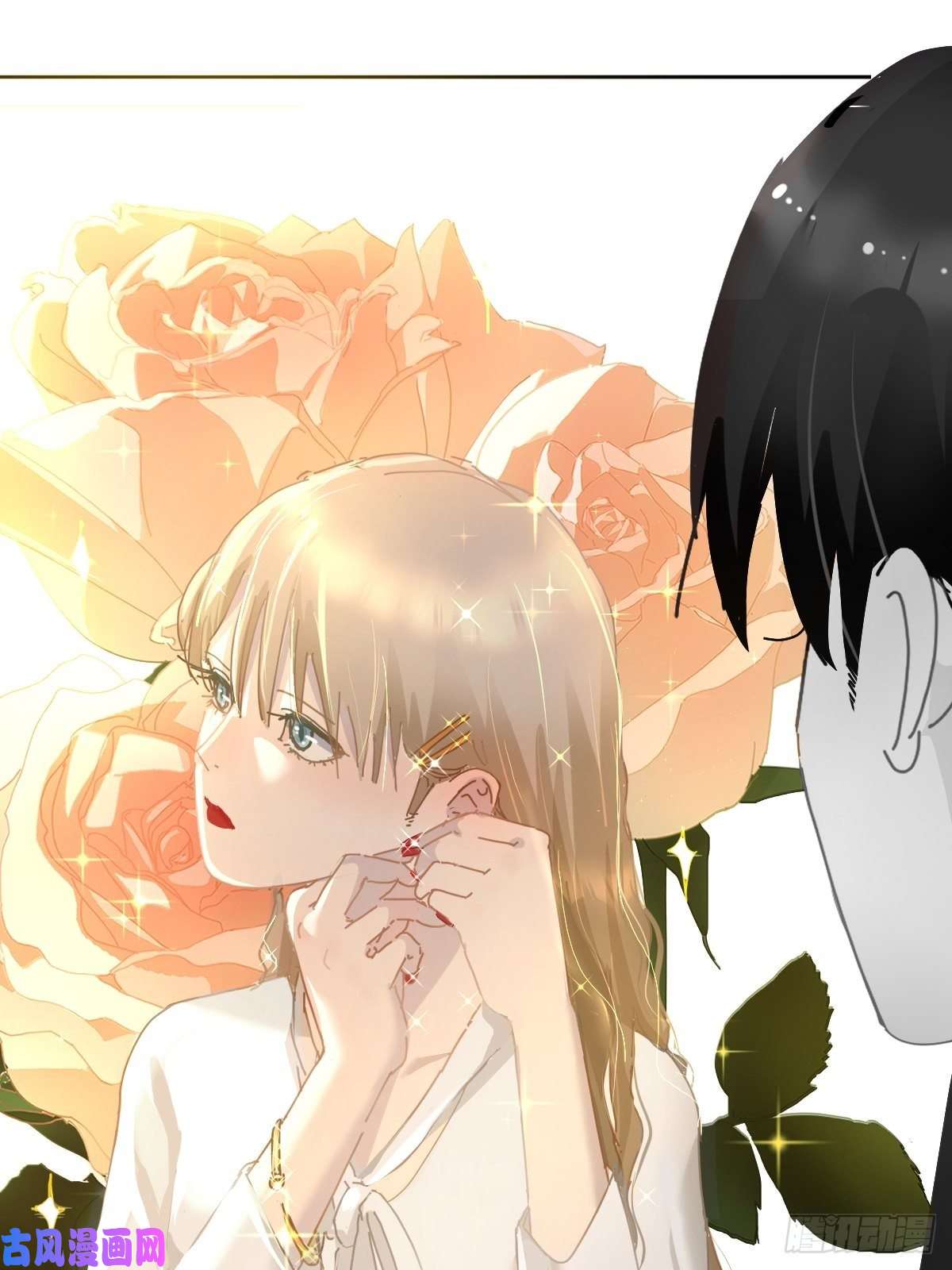 黑背信天翁见怪不怪，其怪自败