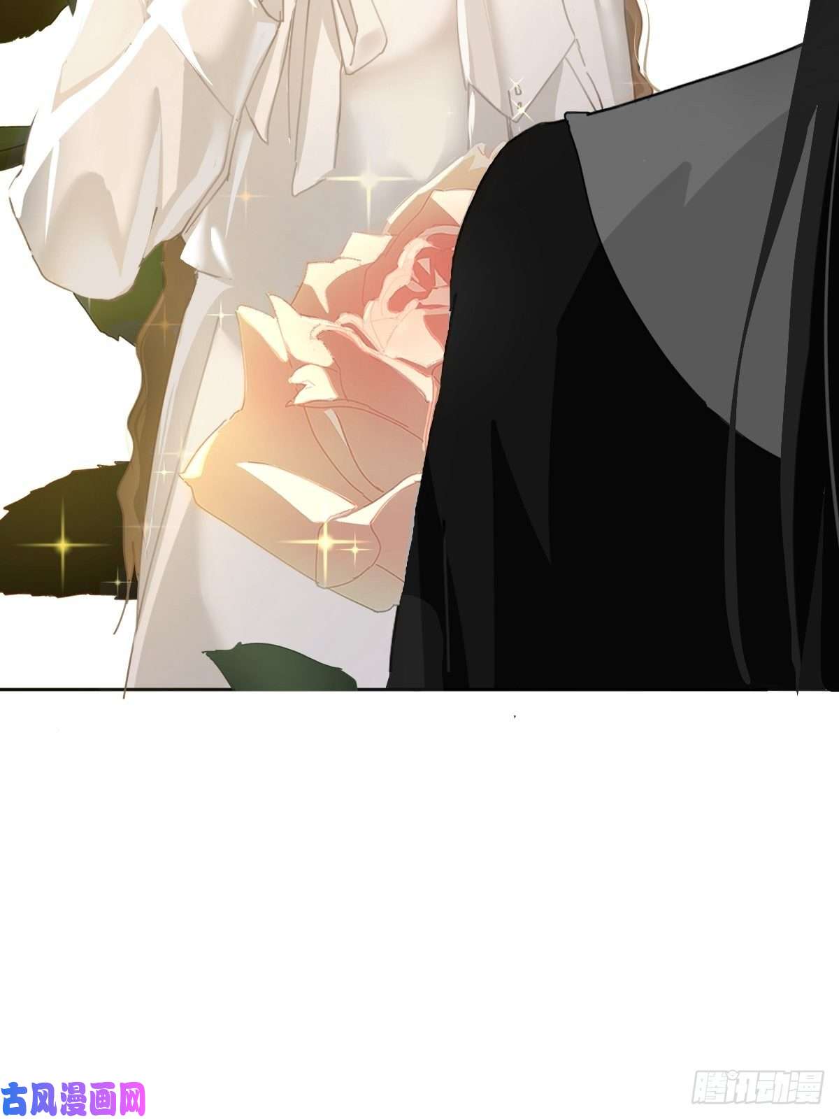 黑背信天翁见怪不怪，其怪自败