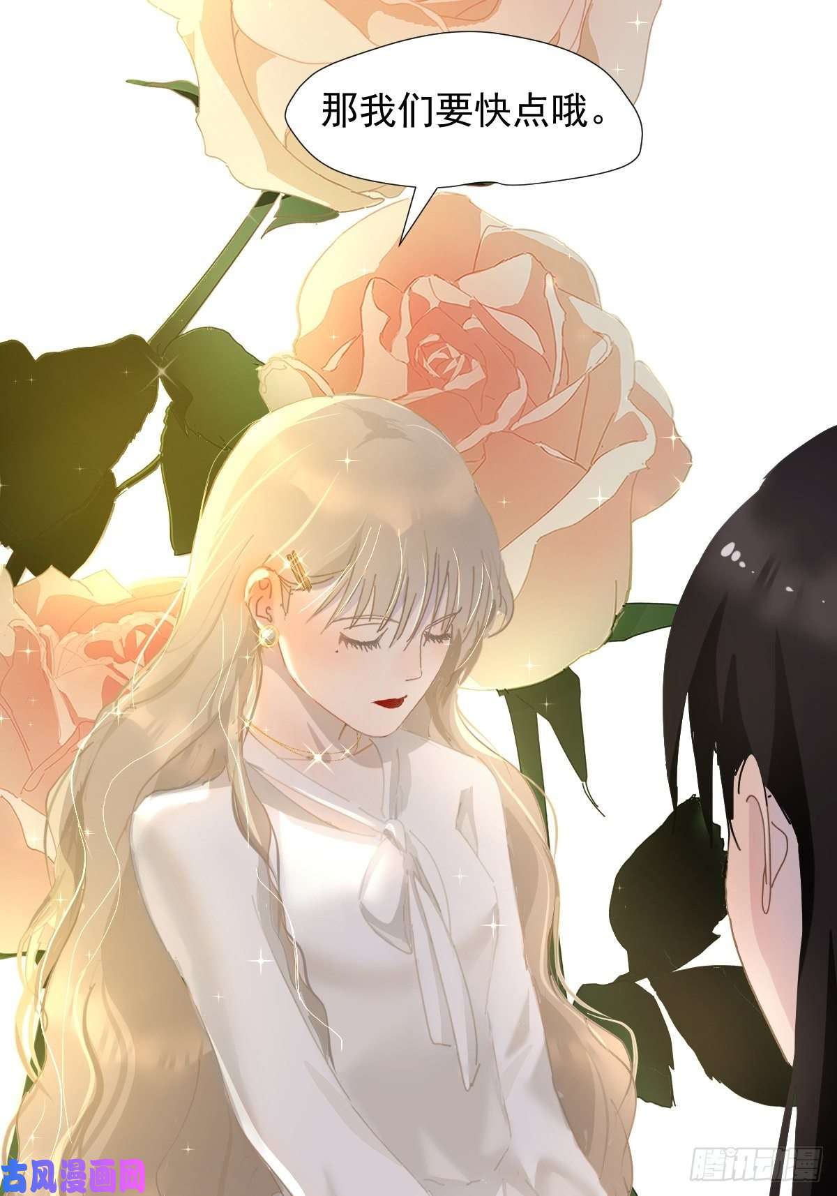 黑背信天翁见怪不怪，其怪自败