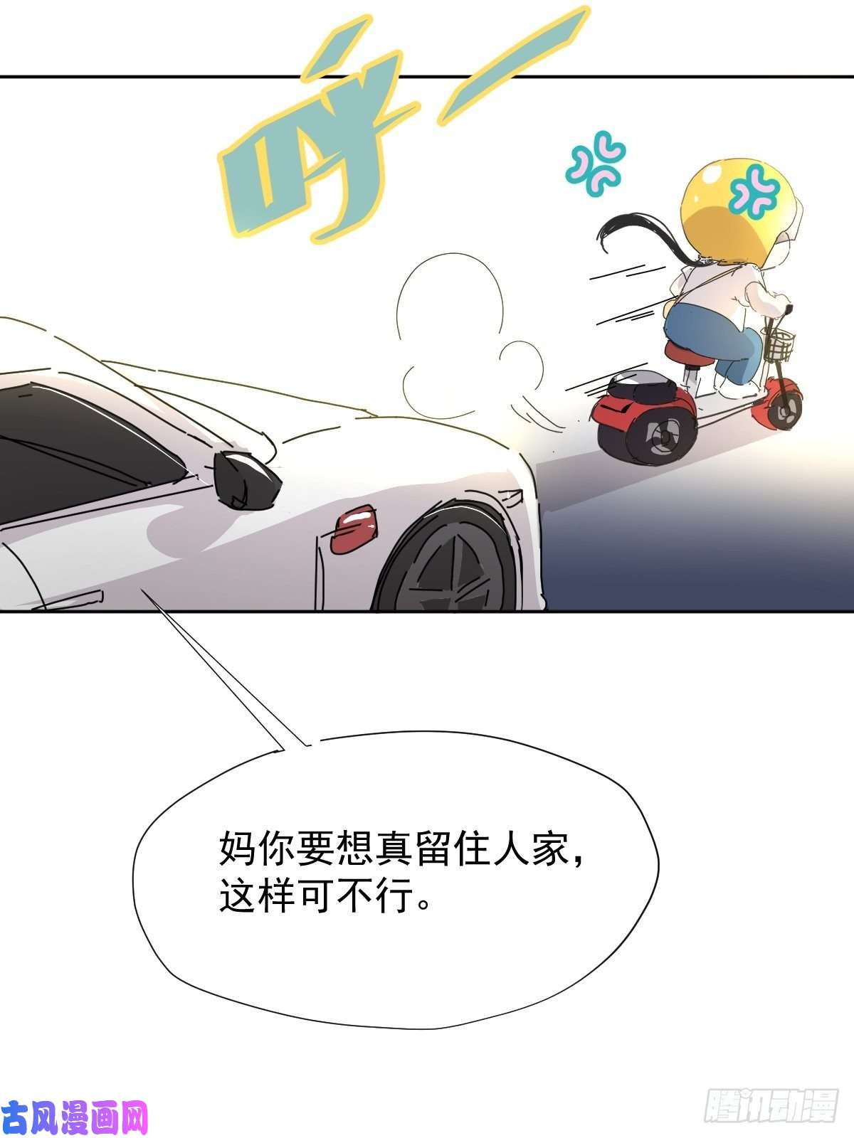 黑背信天翁嗯，最优人选