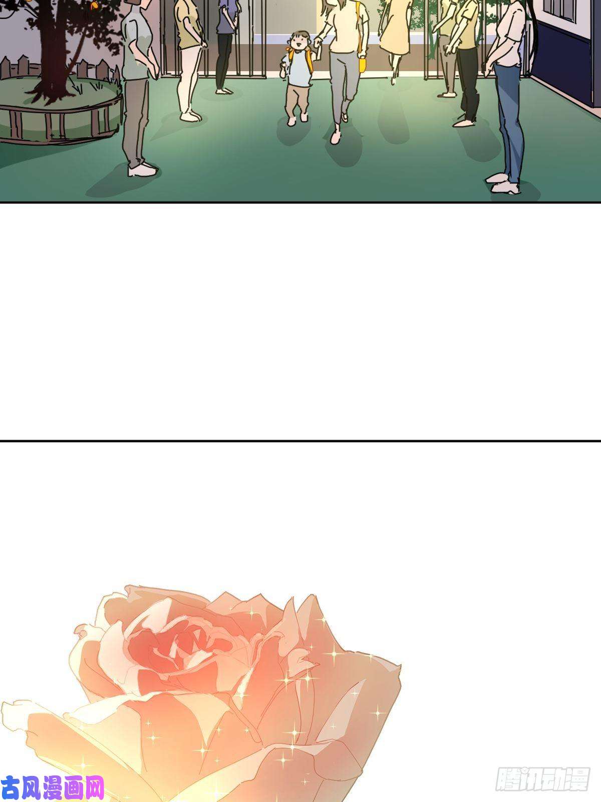 黑背信天翁嗯，最优人选