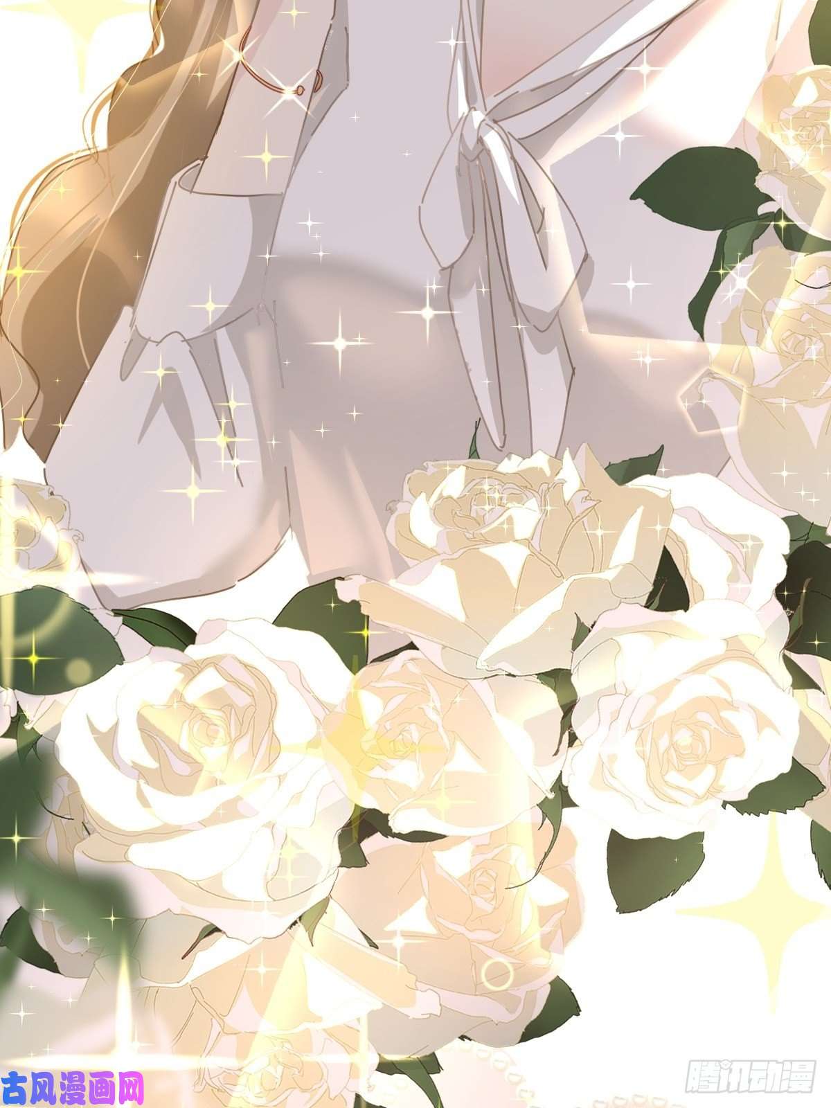 黑背信天翁嗯，最优人选