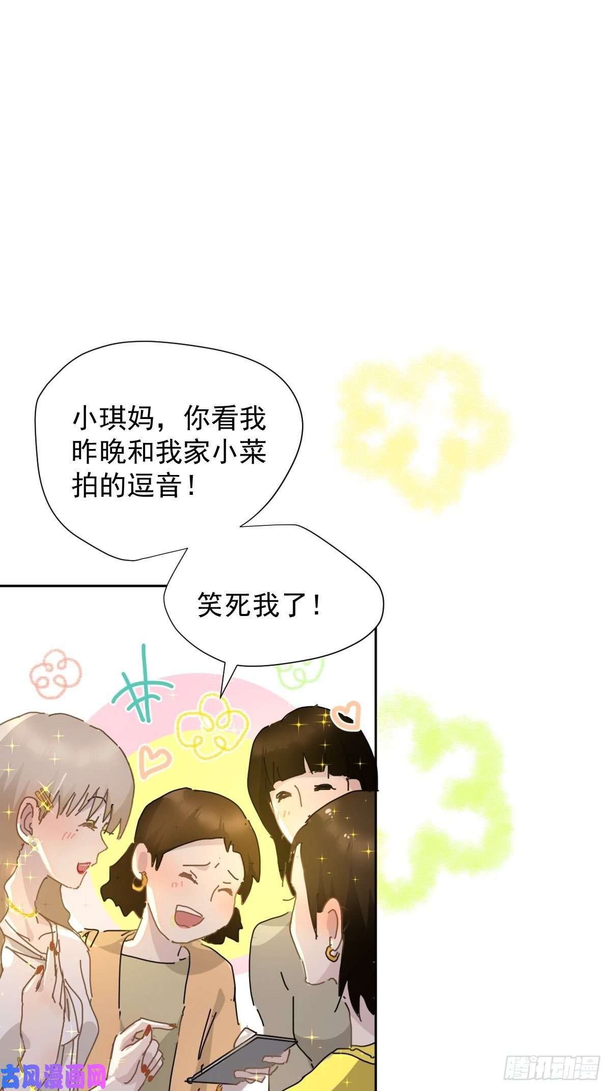 黑背信天翁嗯，最优人选