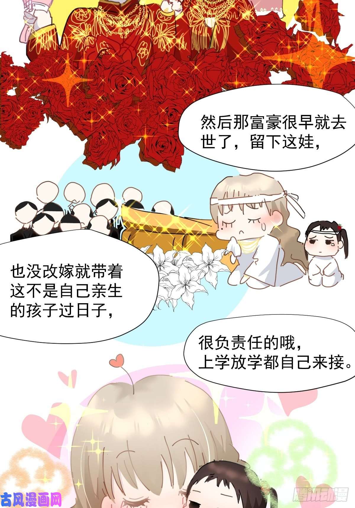 黑背信天翁嗯，最优人选