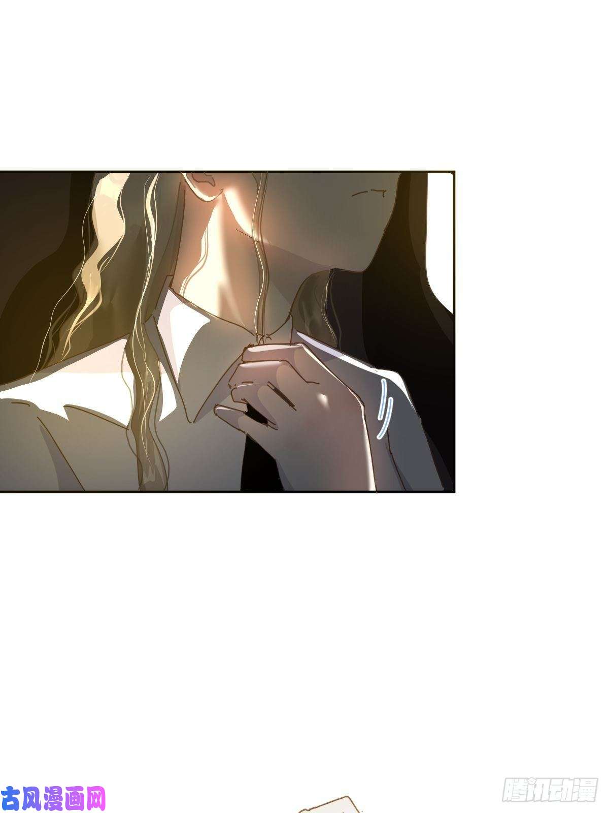 黑背信天翁嗯，最优人选