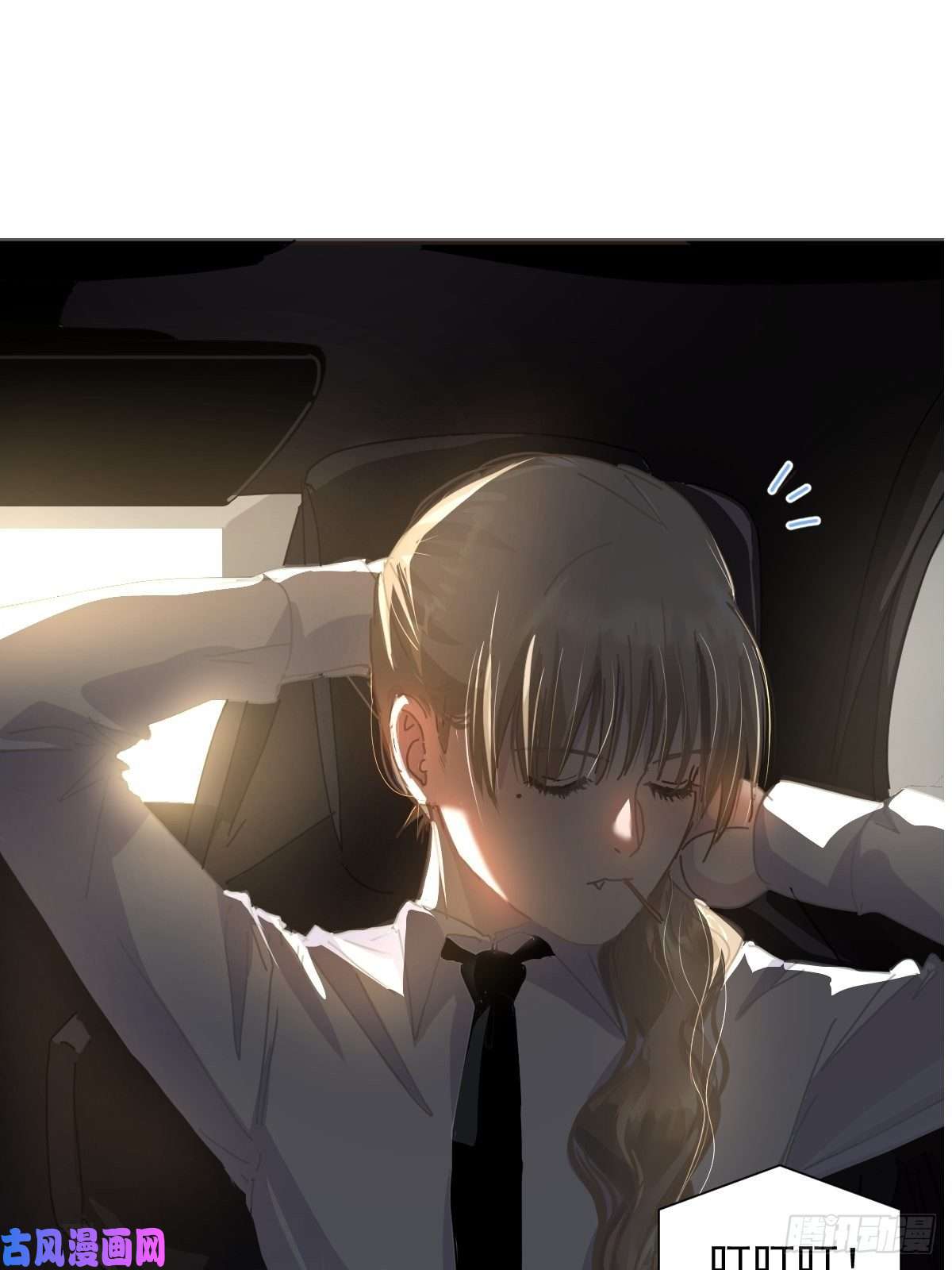 黑背信天翁嗯，最优人选