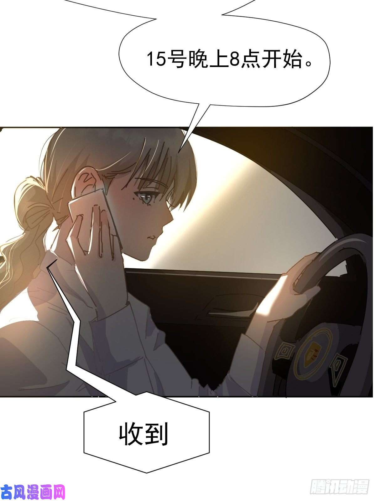 黑背信天翁嗯，最优人选