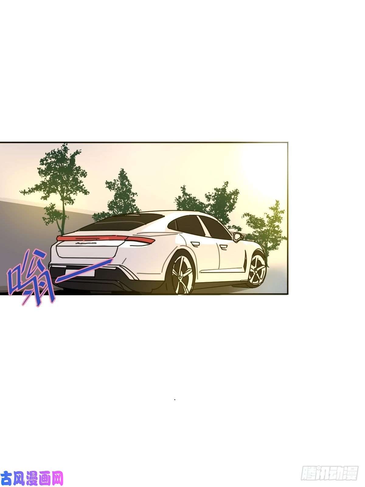 黑背信天翁嗯，最优人选