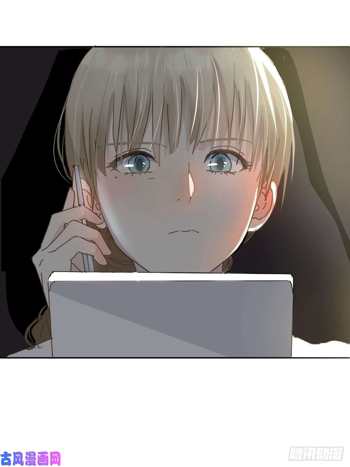 黑背信天翁嗯，最优人选