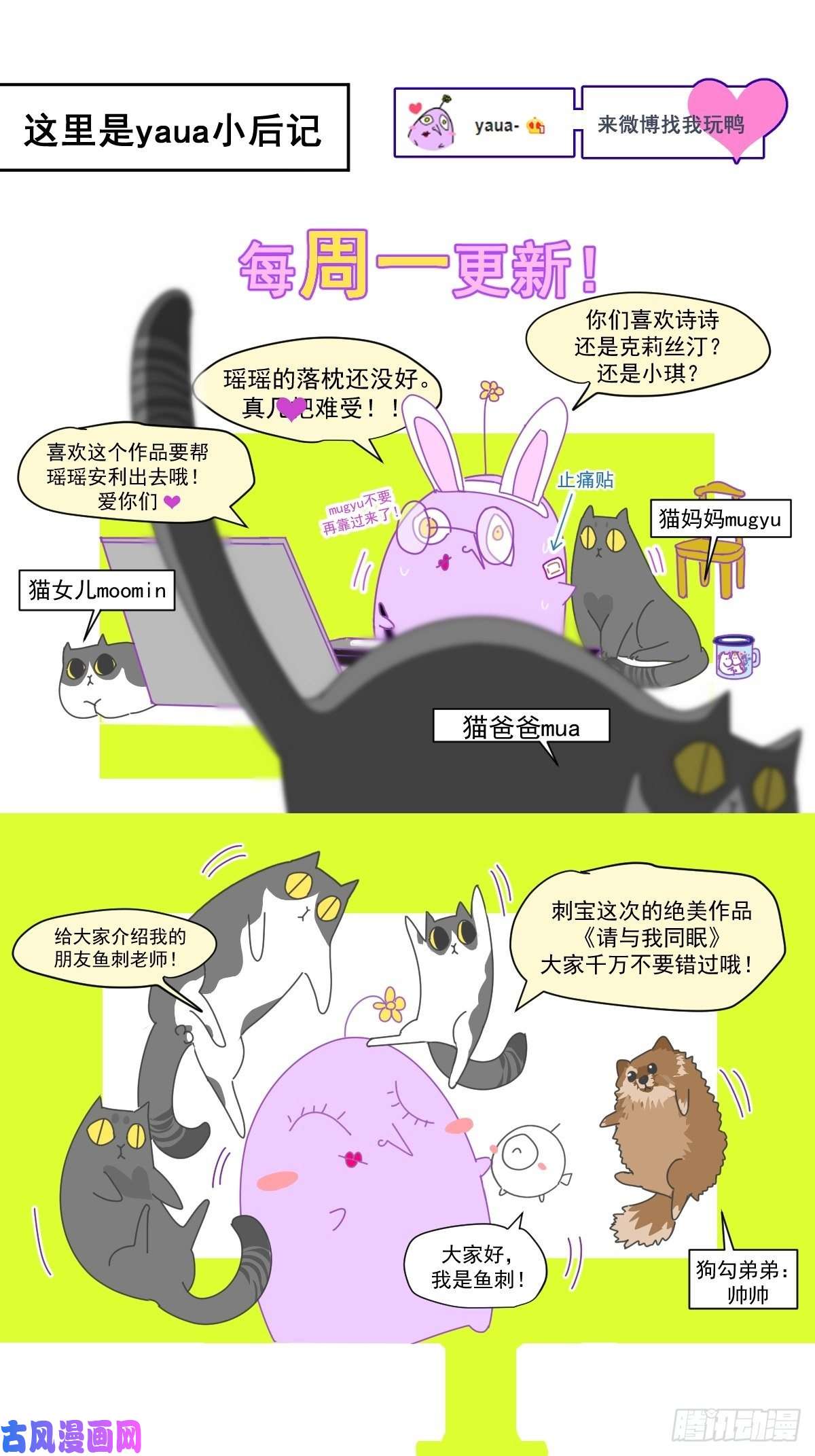 黑背信天翁嗯，最优人选