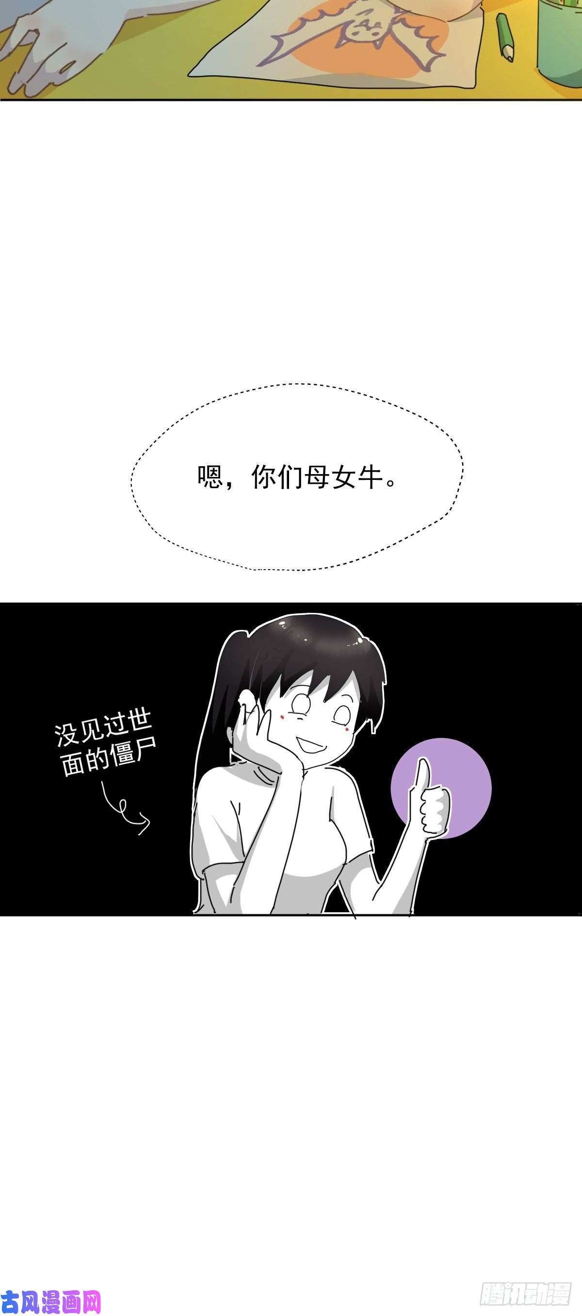 黑背信天翁妈妈很快就要来了