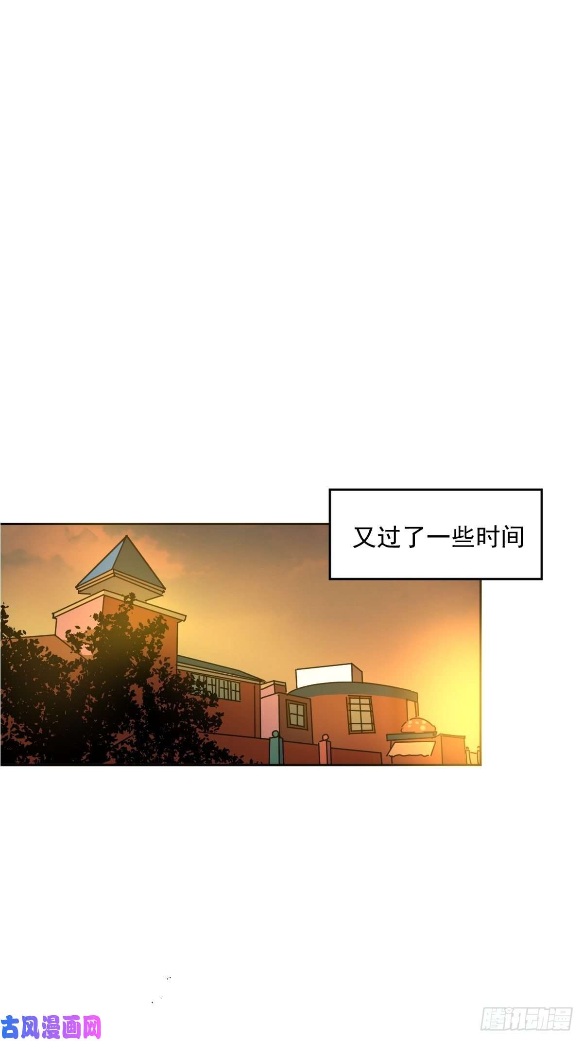 黑背信天翁妈妈很快就要来了