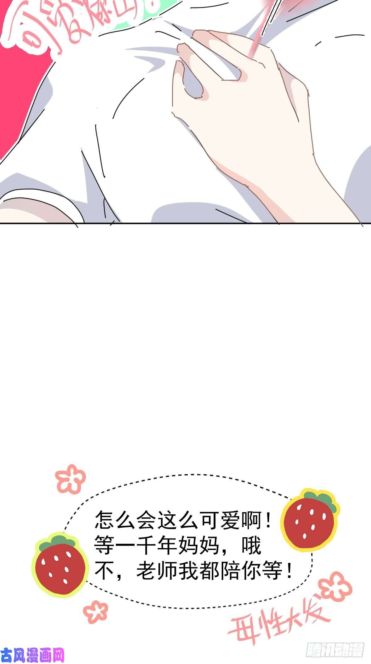 黑背信天翁妈妈很快就要来了